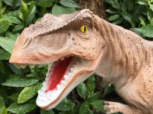 Tyrannosaure - dinosaure - plastique - 50 cm - en couleur